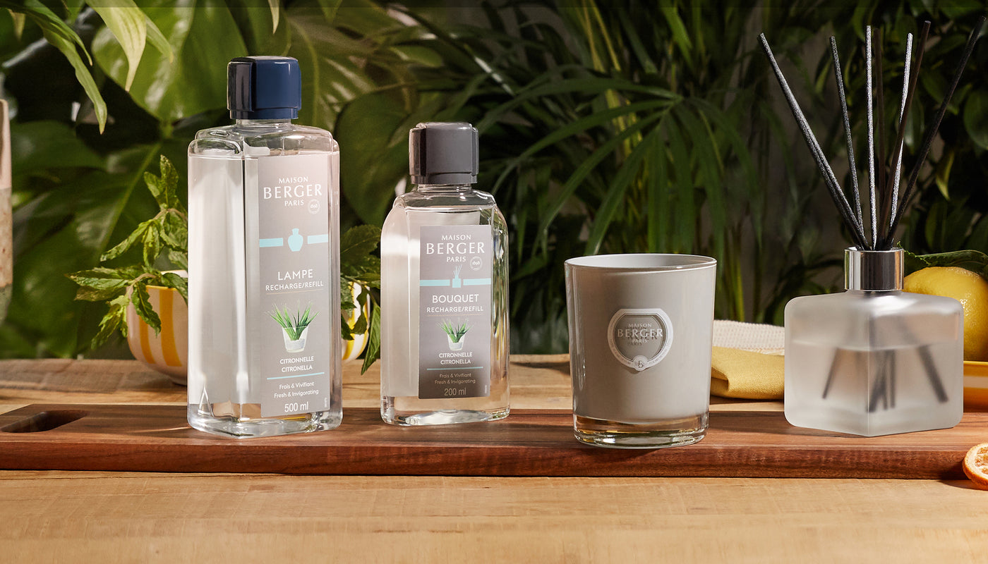 Prevent Mosquitoes in your Home!