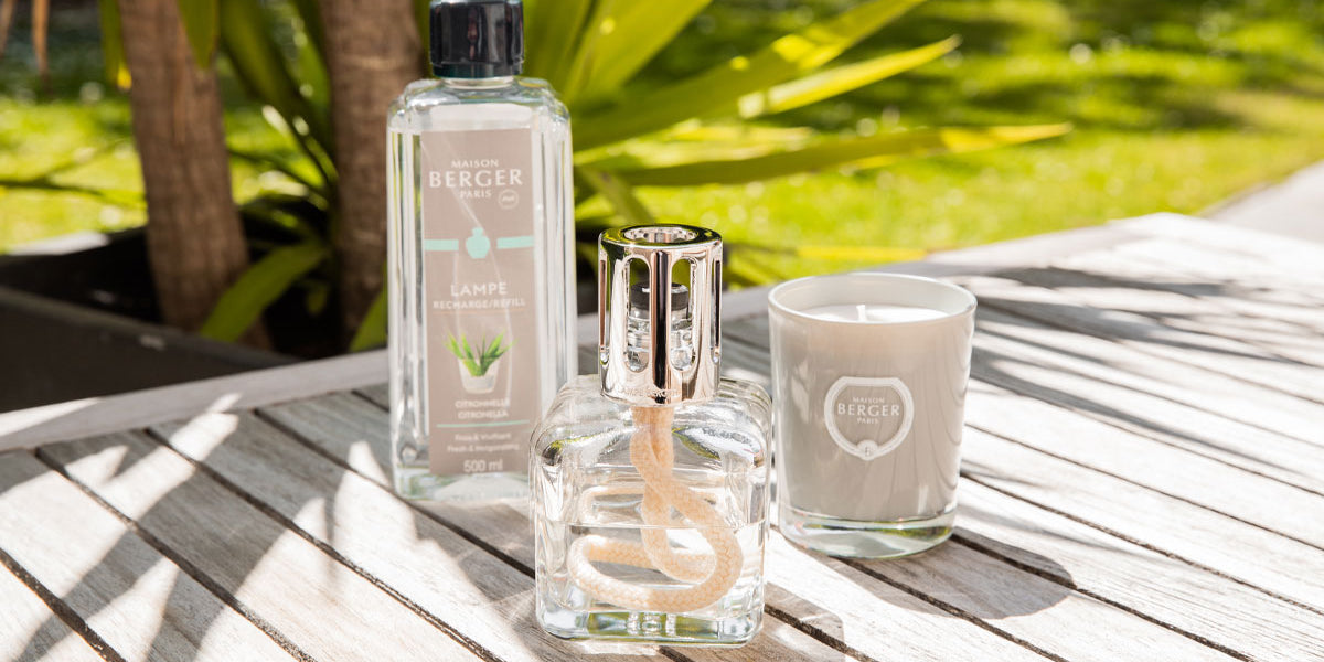 How Do We Keep Ourselves Safe from DENGUE?